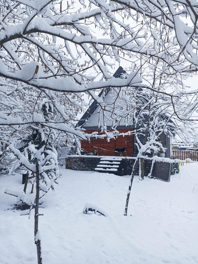 Woodland Paradise Gabala Εξωτερικό φωτογραφία