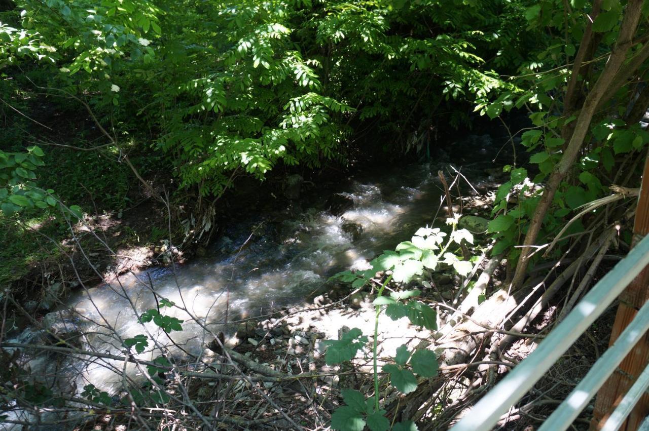 Woodland Paradise Gabala Εξωτερικό φωτογραφία