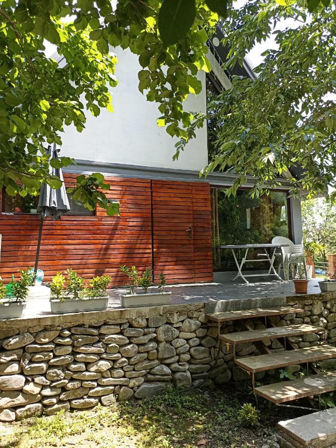 Woodland Paradise Gabala Εξωτερικό φωτογραφία