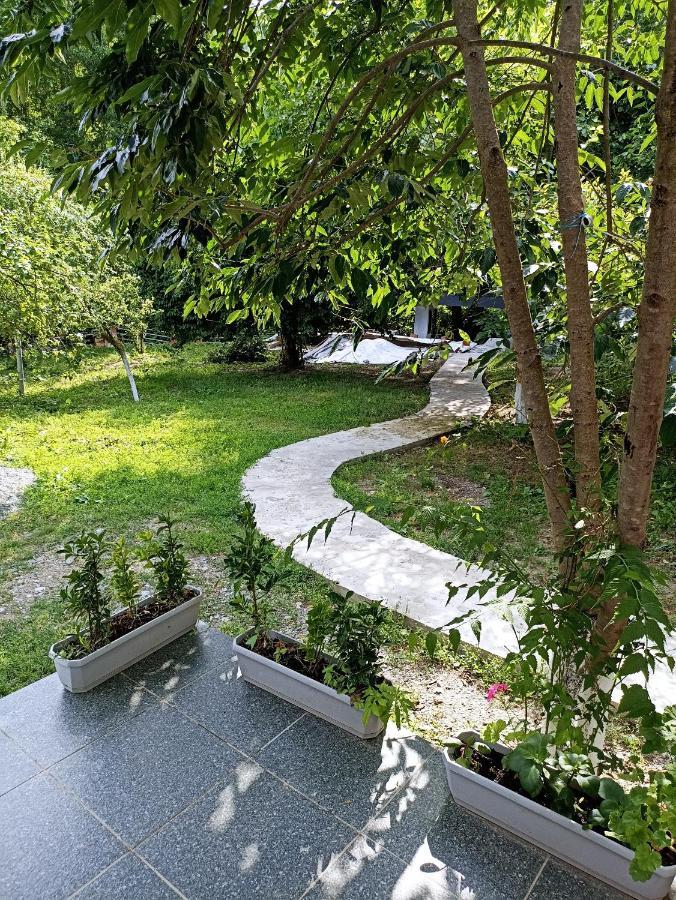 Woodland Paradise Gabala Εξωτερικό φωτογραφία