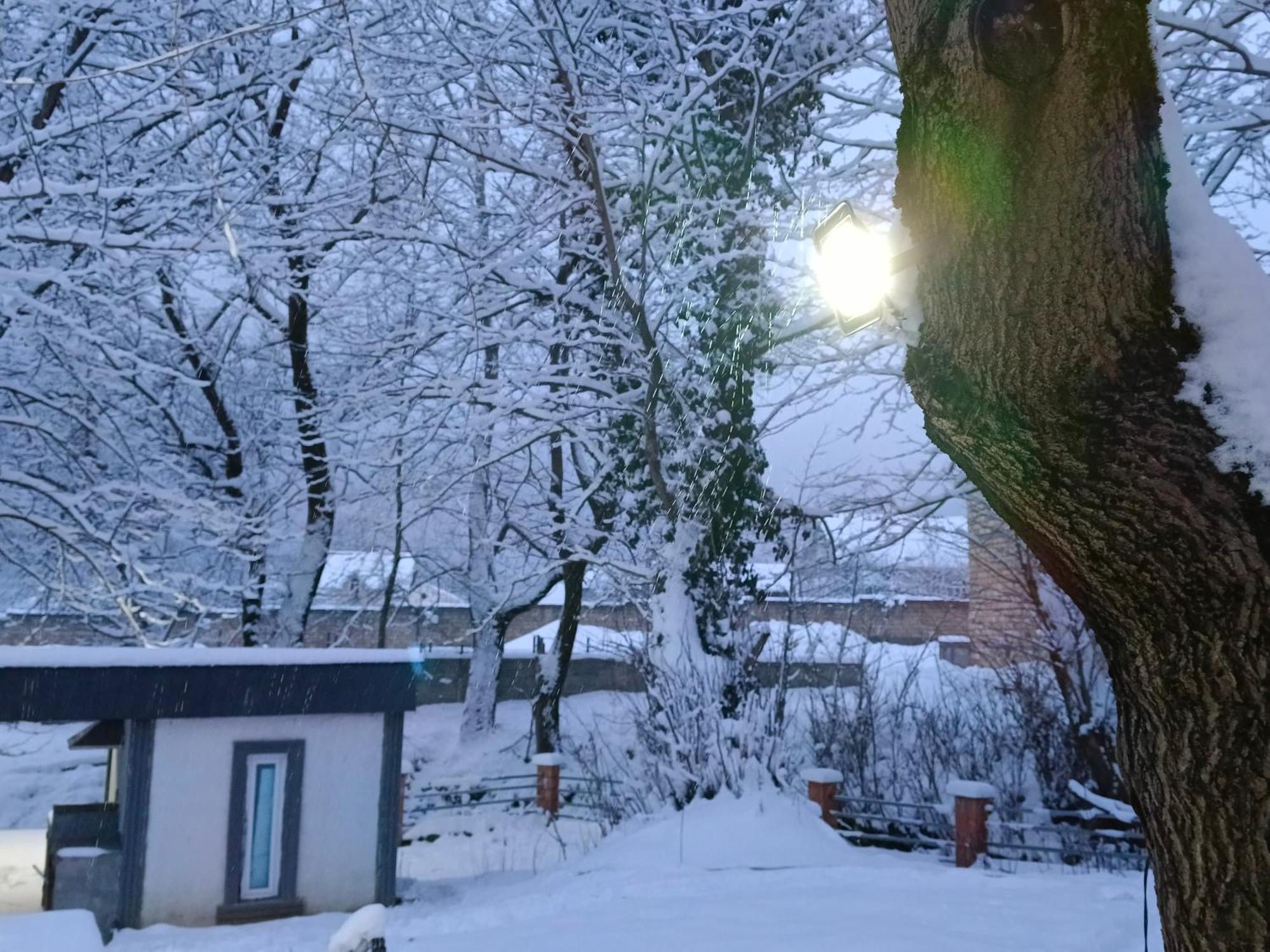 Woodland Paradise Gabala Εξωτερικό φωτογραφία