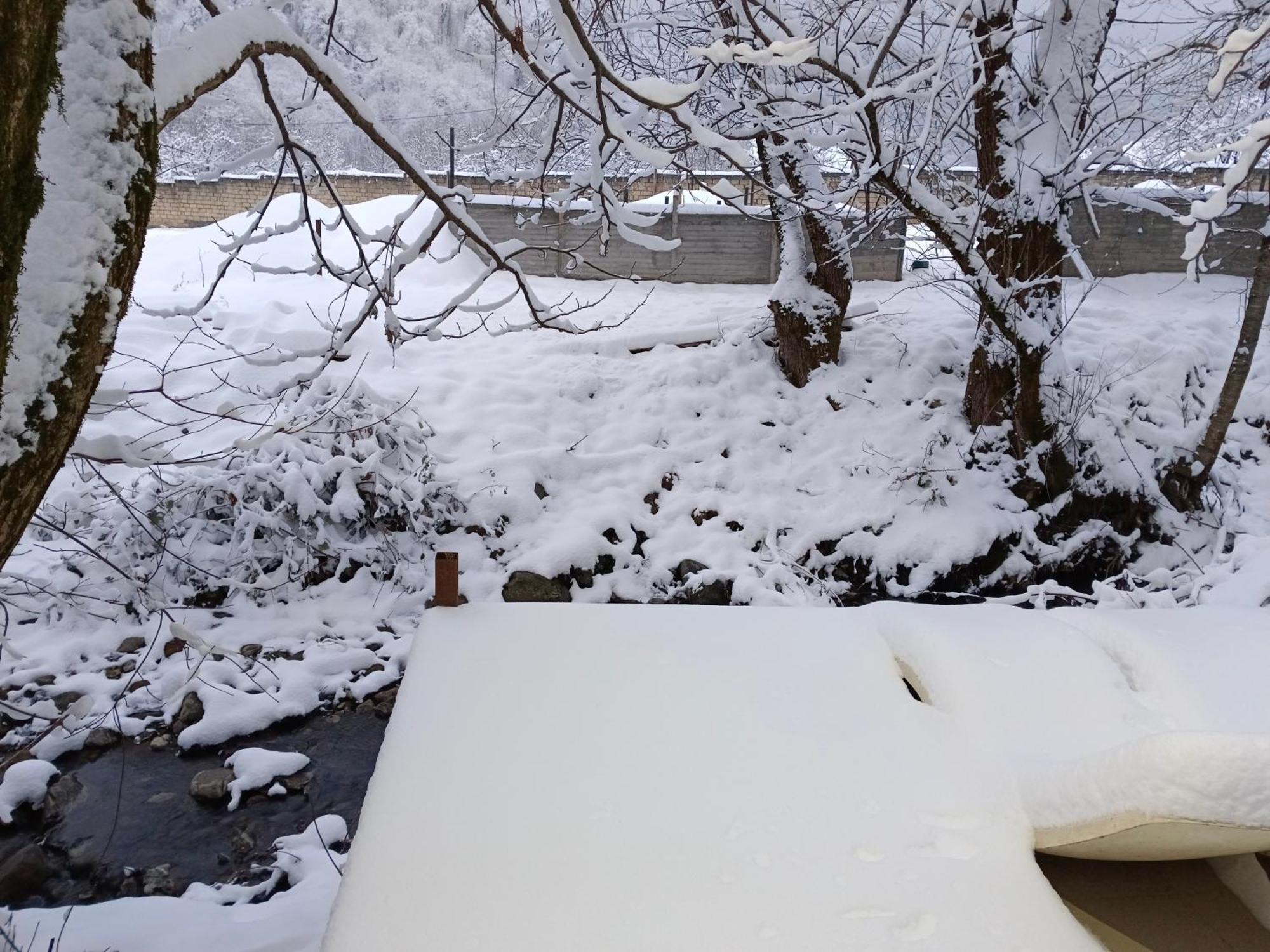 Woodland Paradise Gabala Εξωτερικό φωτογραφία