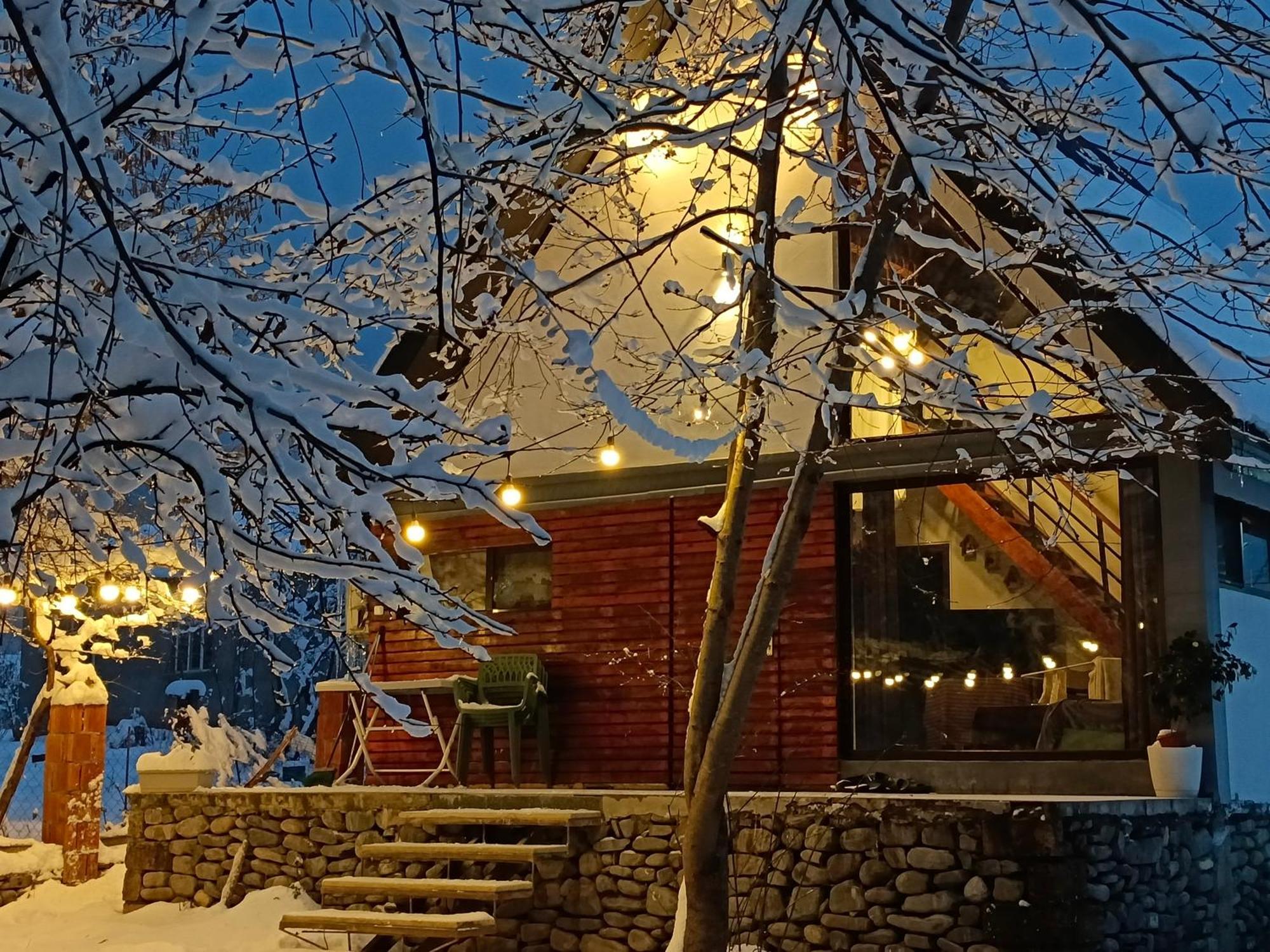 Woodland Paradise Gabala Εξωτερικό φωτογραφία